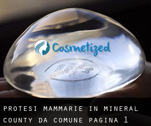 Protesi mammarie in Mineral County da comune - pagina 1