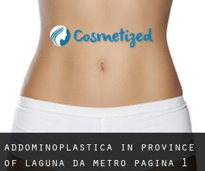 Addominoplastica in Province of Laguna da metro - pagina 1