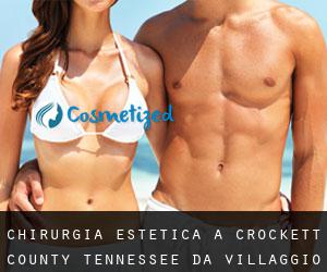 chirurgia estetica a Crockett County Tennessee da villaggio - pagina 1
