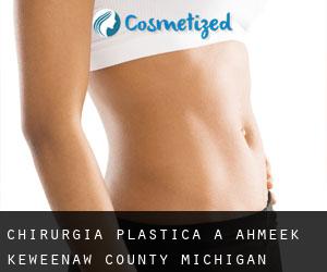 chirurgia plastica a Ahmeek (Keweenaw County, Michigan)