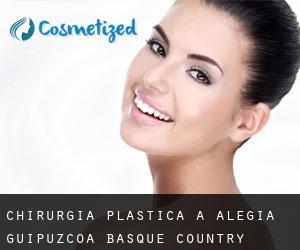 chirurgia plastica a Alegia (Guipuzcoa, Basque Country)