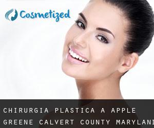 chirurgia plastica a Apple Greene (Calvert County, Maryland)