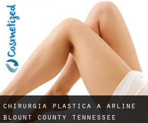 chirurgia plastica a Arline (Blount County, Tennessee)