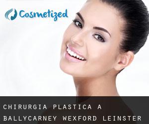 chirurgia plastica a Ballycarney (Wexford, Leinster)