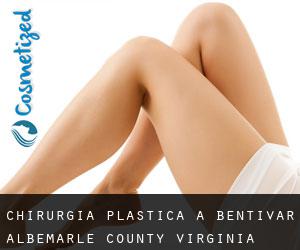 chirurgia plastica a Bentivar (Albemarle County, Virginia)
