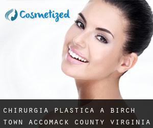 chirurgia plastica a Birch Town (Accomack County, Virginia)