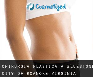 chirurgia plastica a Bluestone (City of Roanoke, Virginia)