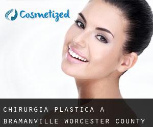 chirurgia plastica a Bramanville (Worcester County, Massachusetts)