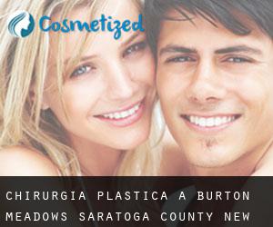 chirurgia plastica a Burton Meadows (Saratoga County, New York)