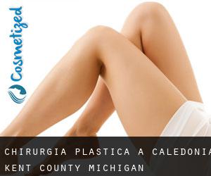 chirurgia plastica a Caledonia (Kent County, Michigan)
