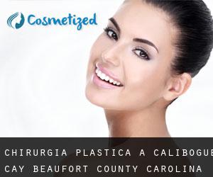 chirurgia plastica a Calibogue Cay (Beaufort County, Carolina del Sud)