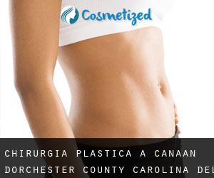chirurgia plastica a Canaan (Dorchester County, Carolina del Sud)