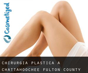 chirurgia plastica a Chattahoochee (Fulton County, Georgia)
