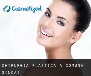 chirurgia plastica a Comuna Şincai