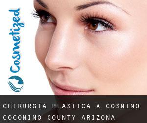 chirurgia plastica a Cosnino (Coconino County, Arizona)