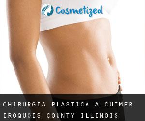 chirurgia plastica a Cutmer (Iroquois County, Illinois)