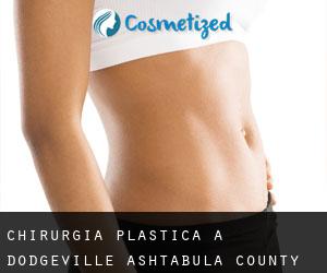 chirurgia plastica a Dodgeville (Ashtabula County, Ohio)