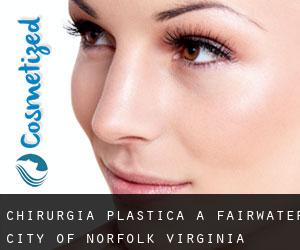 chirurgia plastica a Fairwater (City of Norfolk, Virginia)