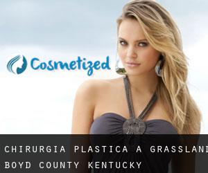 chirurgia plastica a Grassland (Boyd County, Kentucky)