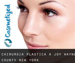 chirurgia plastica a Joy (Wayne County, New York)