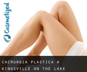 chirurgia plastica a Kingsville On-the-Lake (Ashtabula County, Ohio)
