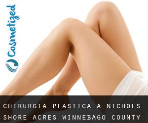 chirurgia plastica a Nichols Shore Acres (Winnebago County, Wisconsin)