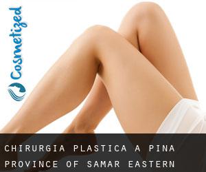 chirurgia plastica a Piña (Province of Samar, Eastern Visayas)