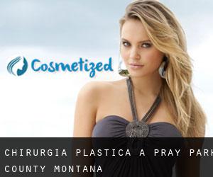 chirurgia plastica a Pray (Park County, Montana)