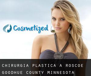 chirurgia plastica a Roscoe (Goodhue County, Minnesota)