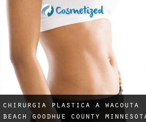 chirurgia plastica a Wacouta Beach (Goodhue County, Minnesota)